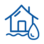 Home Flood Icon