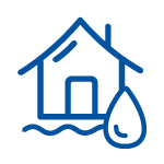 Home Flood Icon